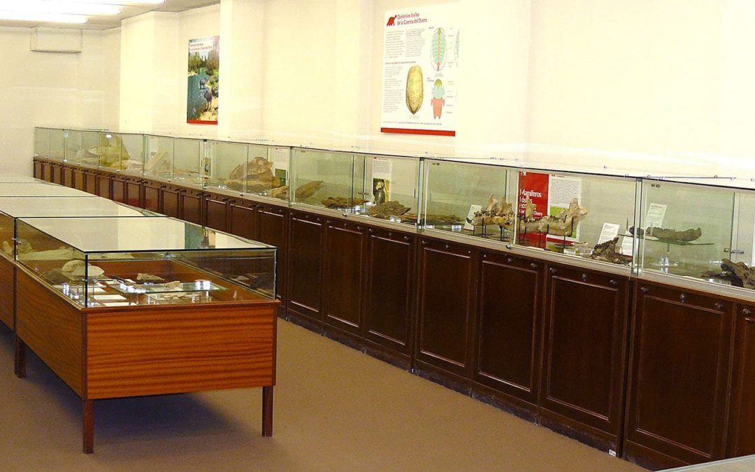 Sala de las Tortugas de la Universidad de Salamanca